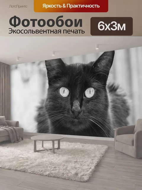 600 × 300 см · Экосольвентная печать