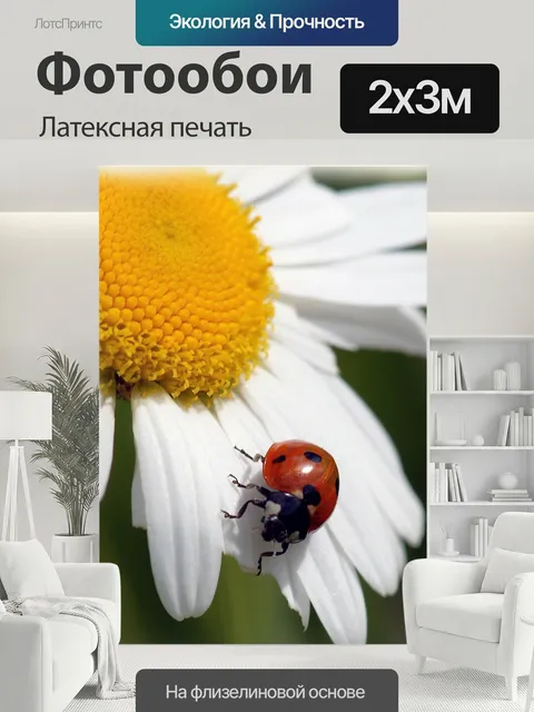 200 × 300 см · Латексная печать