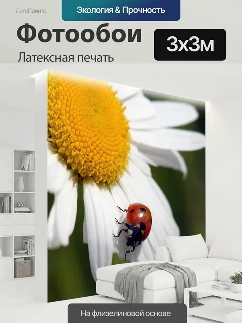 300 × 300 см · Латексная печать