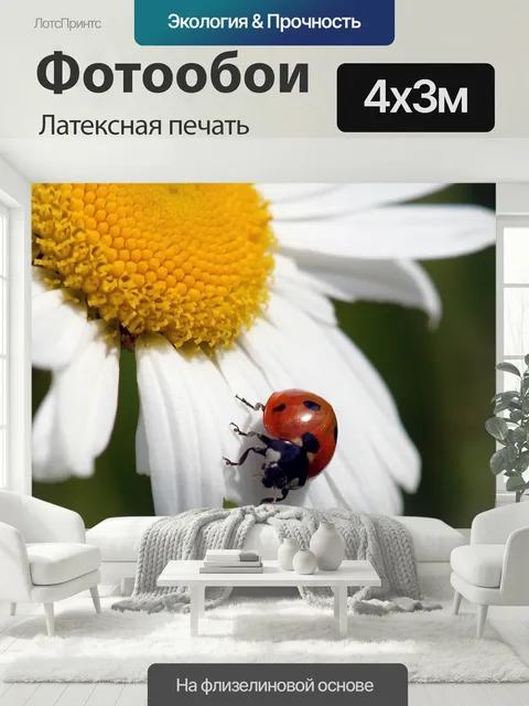 400 × 300 см · Латексная печать