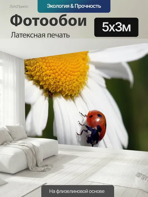 500 × 300 см · Латексная печать