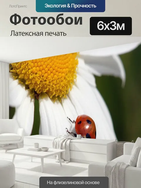 600 × 300 см · Латексная печать