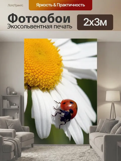 200 × 300 см · Экосольвентная печать