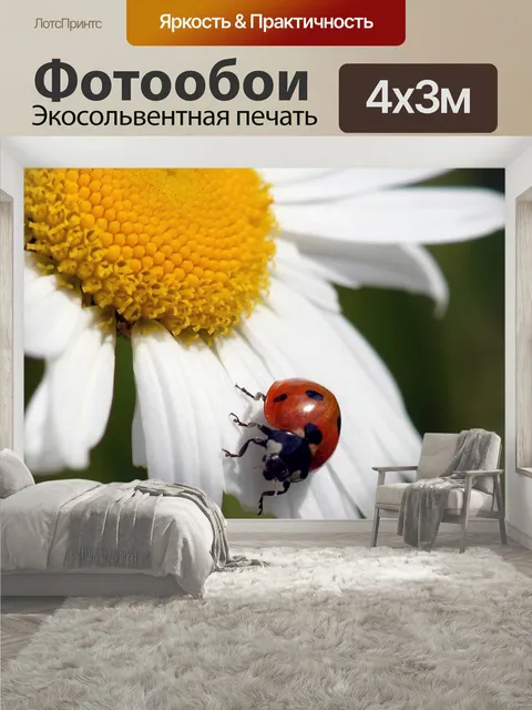 400 × 300 см · Экосольвентная печать