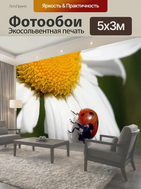 Фотообои Божья коровка или