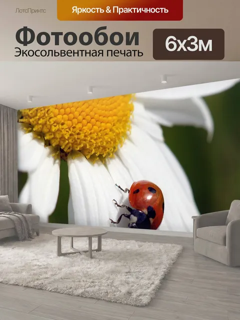 600 × 300 см · Экосольвентная печать