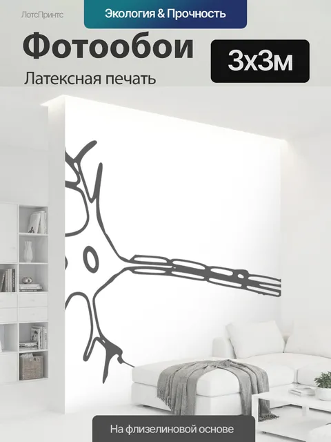 300 × 300 см · Латексная печать