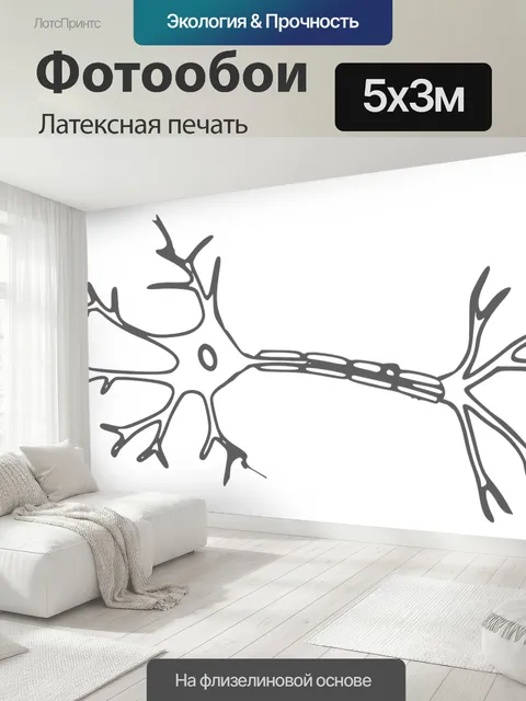 500 × 300 см · Латексная печать