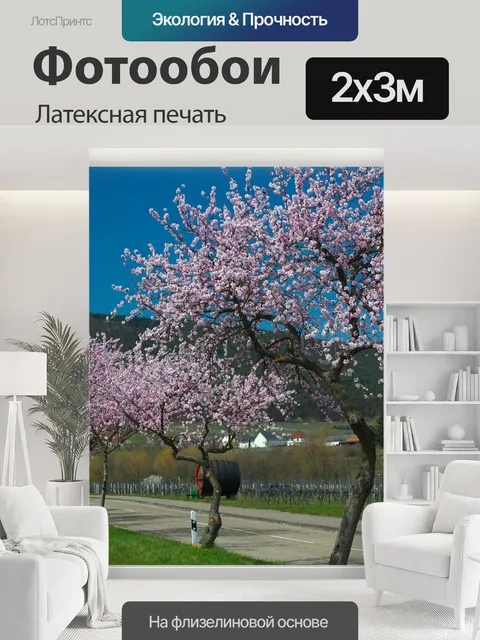 200 × 300 см · Латексная печать