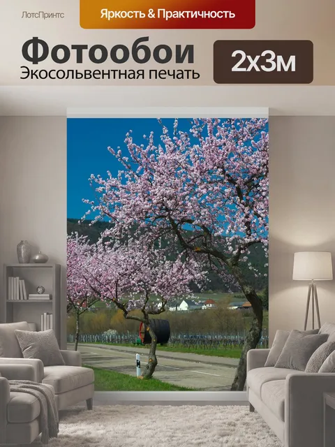 200 × 300 см · Экосольвентная печать
