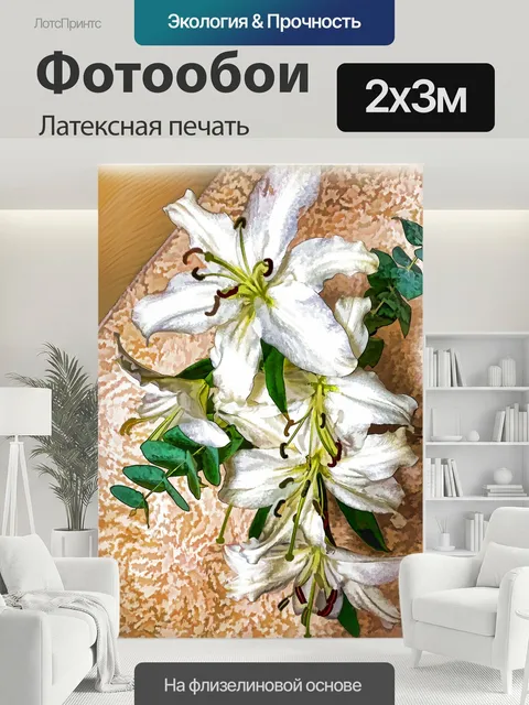 200 × 300 см · Латексная печать