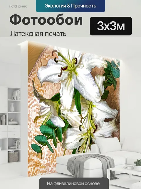300 × 300 см · Латексная печать