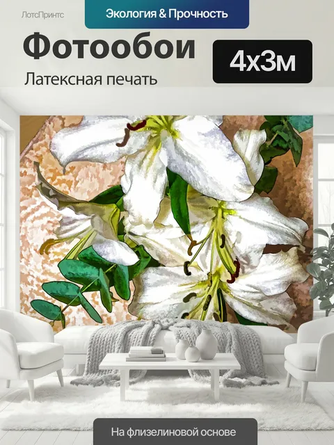 400 × 300 см · Латексная печать