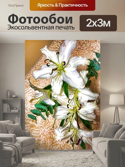 200 × 300 см · Экосольвентная печать