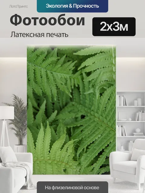 200 × 300 см · Латексная печать