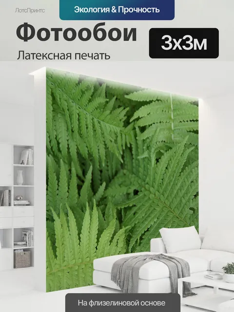 300 × 300 см · Латексная печать