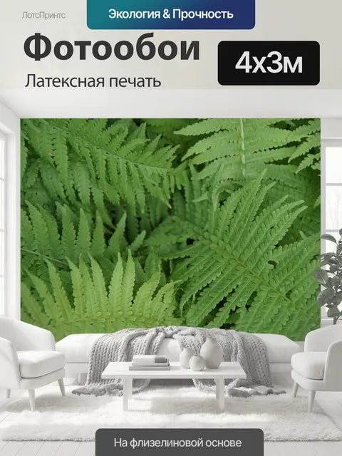 400 × 300 см · Латексная печать