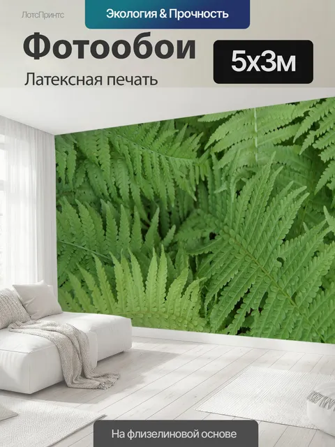 500 × 300 см · Латексная печать