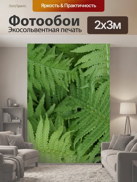 200 × 300 см · Экосольвентная печать