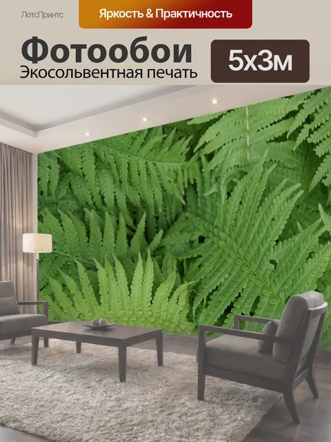 500 × 300 см · Экосольвентная печать