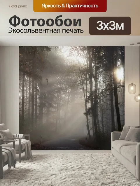 Фотообои Лес, тащить, туман