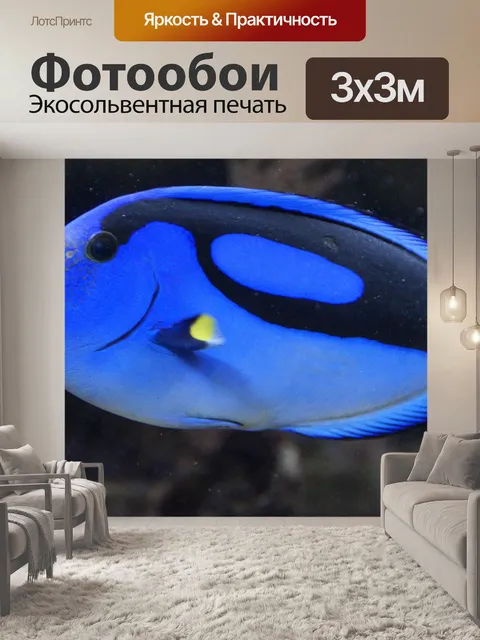 Фотообои Рыбы, доктор рыба, синий