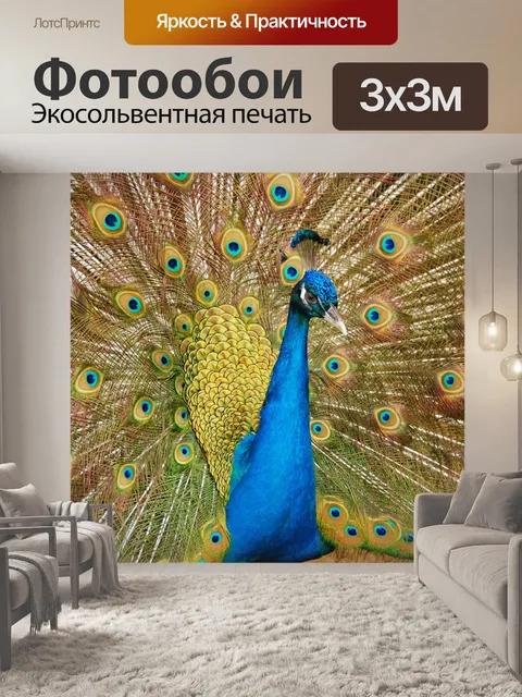 Фотообои Павлин Портрет Гордый павлин отображает его красочным оперением Павлин павлин оперения птица разноцветная юте…