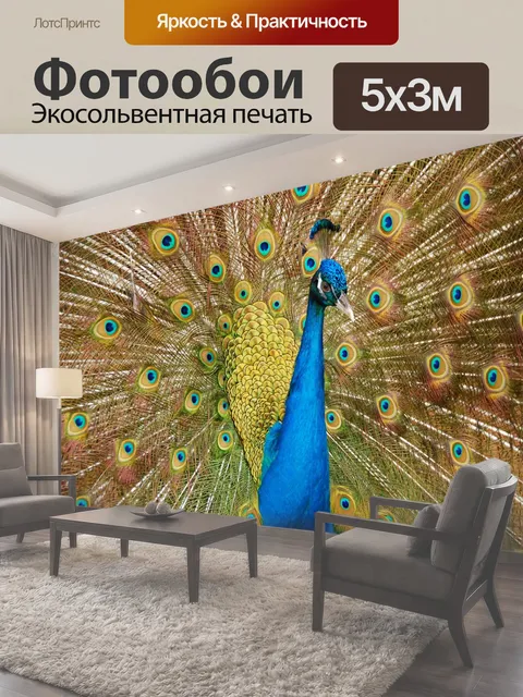Фотообои Павлин Портрет Гордый