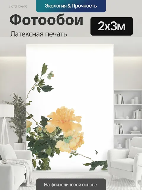 200 × 300 см · Латексная печать