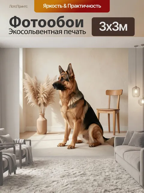 Фотообои Немецкая овчарка в светлом интерьере