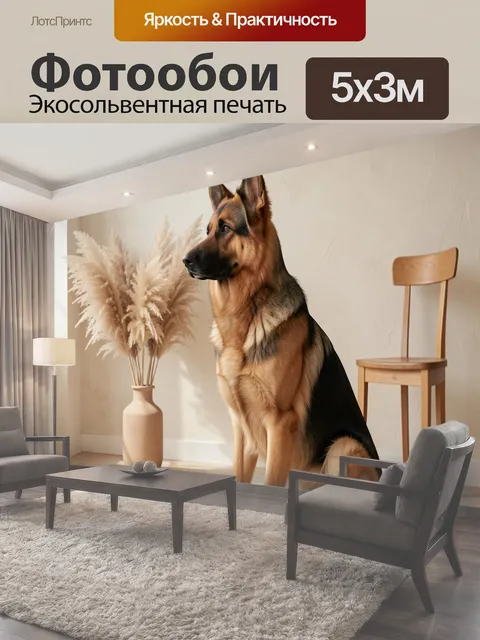 Фотообои Немецкая овчарка в светлом интерьере