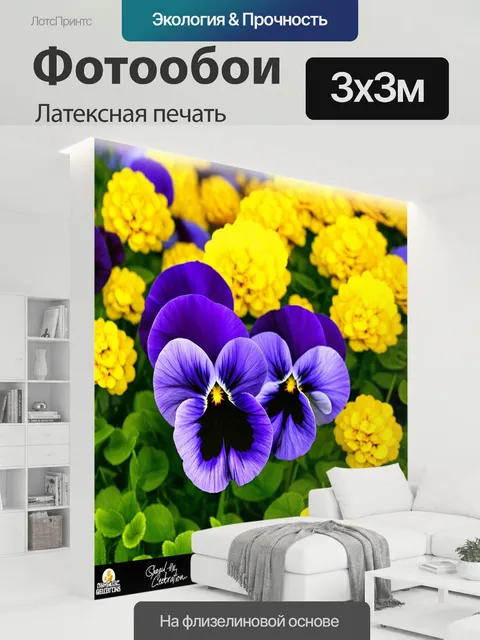 300 × 300 см · Латексная печать