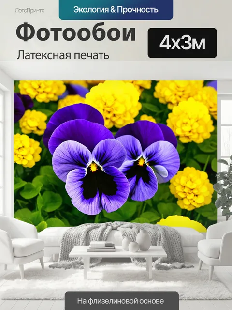 400 × 300 см · Латексная печать