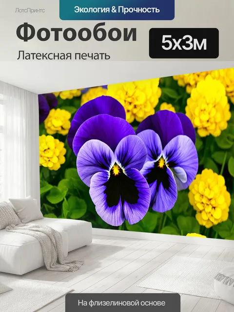 500 × 300 см · Латексная печать