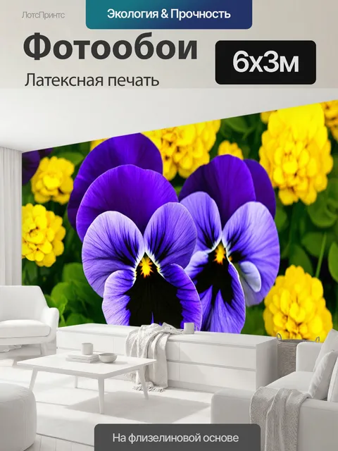 600 × 300 см · Латексная печать