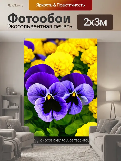200 × 300 см · Экосольвентная печать