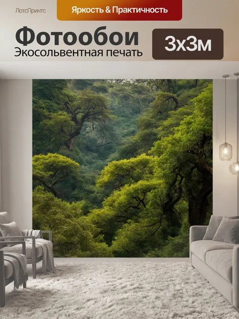 Фотообои Китай: старинный лавровый лес, разрастающийся по долине, создающий атмосферу волшебных мест. стиль - натурали…