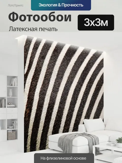 300 × 300 см · Латексная печать
