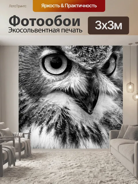 Фотообои Уху, bubo bubo, сова