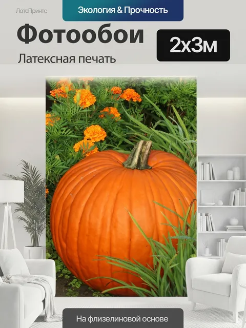 200 × 300 см · Латексная печать