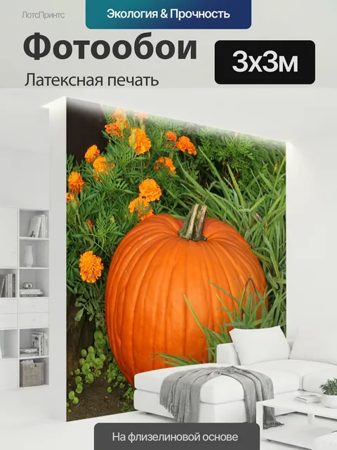 300 × 300 см · Латексная печать