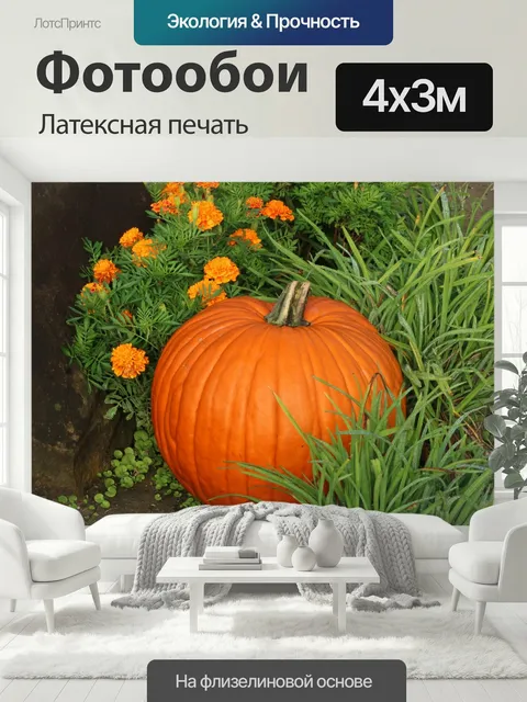 400 × 300 см · Латексная печать