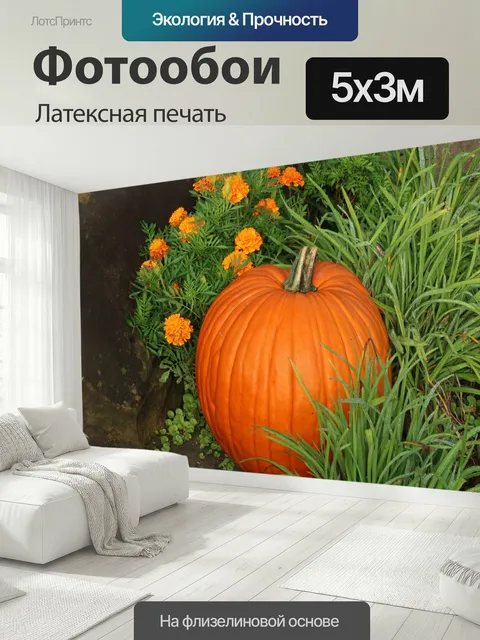 500 × 300 см · Латексная печать