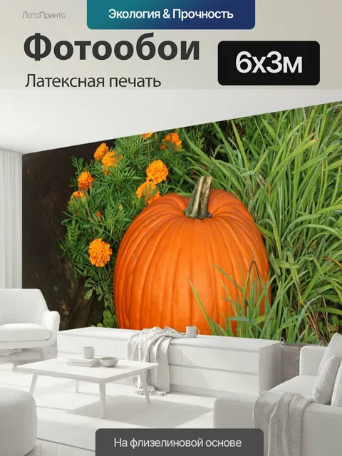 600 × 300 см · Латексная печать