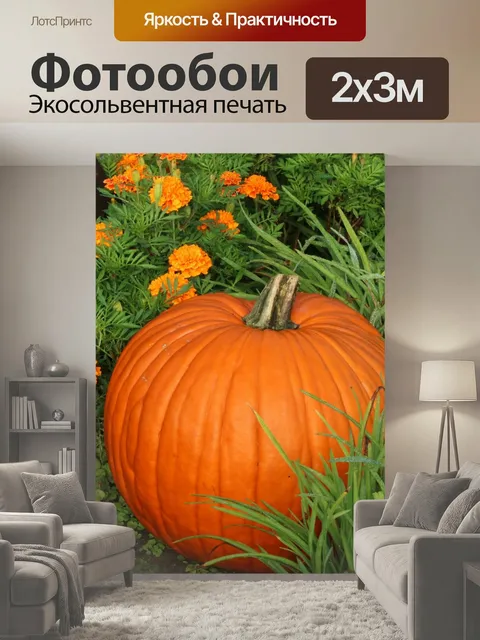 200 × 300 см · Экосольвентная печать