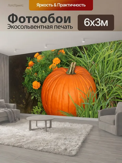 600 × 300 см · Экосольвентная печать