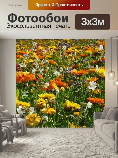 Фотообои Цветочный луг, цветок, поле цветов