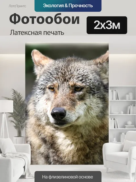 200 × 300 см · Латексная печать