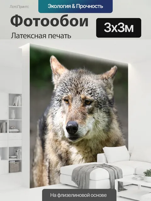 300 × 300 см · Латексная печать
