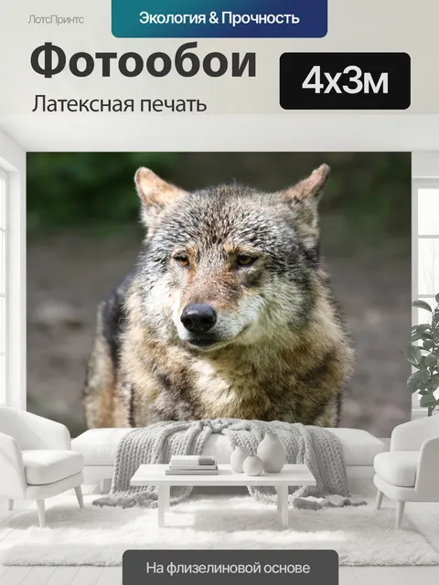 400 × 300 см · Латексная печать